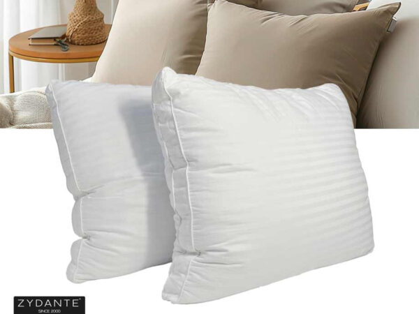 2-Pack Hotel Boxkussens - Met Luxe Jacquard Perkal Katoenen Tijk! ...