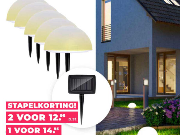 Grundig LED Solar Lichtbollen - Creëer Sfeer In Je Tuin! ...