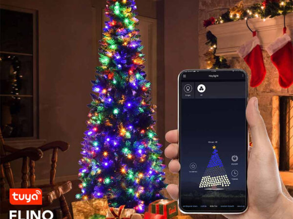 Smart Kerstverlichting Warm Wit En RGB - Met Verschillende Lichtprogramma's ...